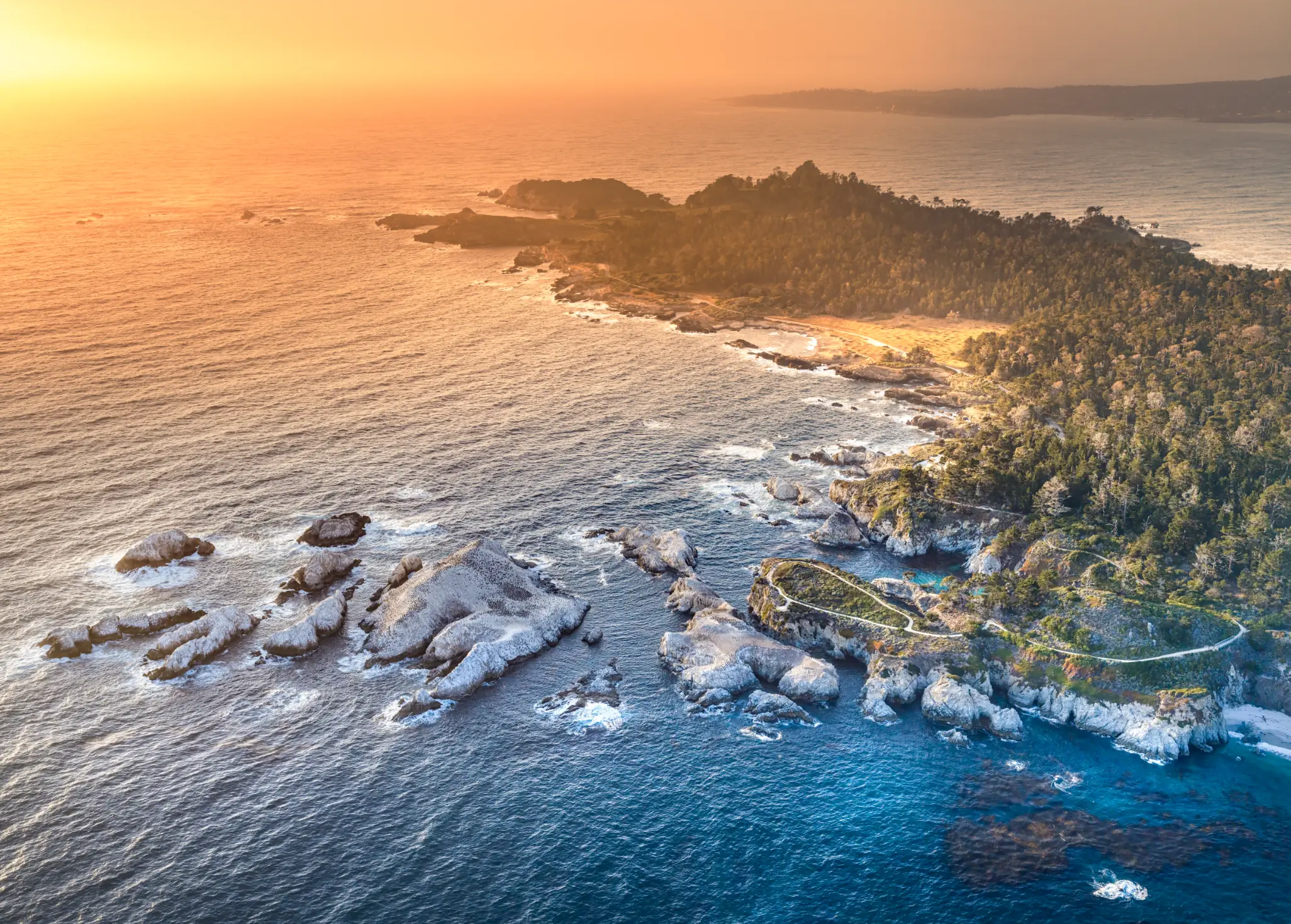 Aerial photograph of Point Lobos State Natural Reserve from a helicopter — rocky coastline, blue Pacific, and cypress trees, shot on Fujifilm GFX medium format